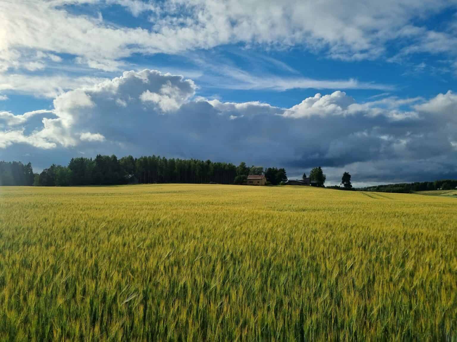 Ohrat Junttilan Tila Ohrat Junttilan Tila