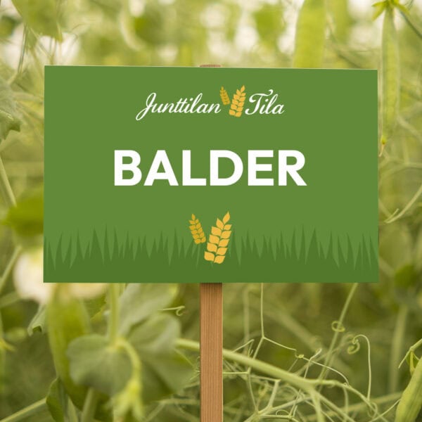 Junttilan Tila Balder herne