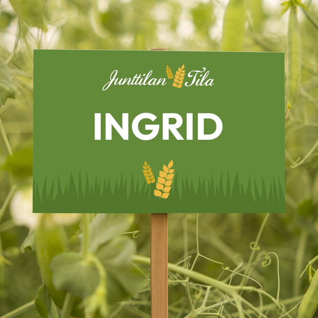 Junttilan Tila Ingrid herne