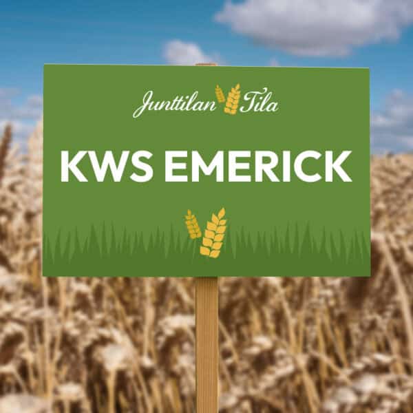 KWS Emerick syysvehnä Junttilan Tilan siemenet