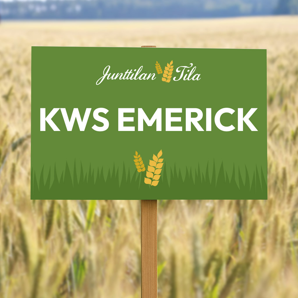 Junttilan Tila KWS Emerick syysvehnä