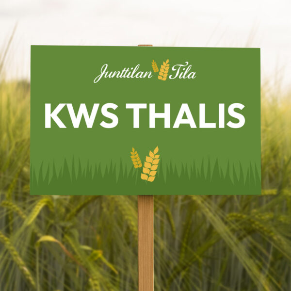 Junttilan Tila KWS Thalis ohra