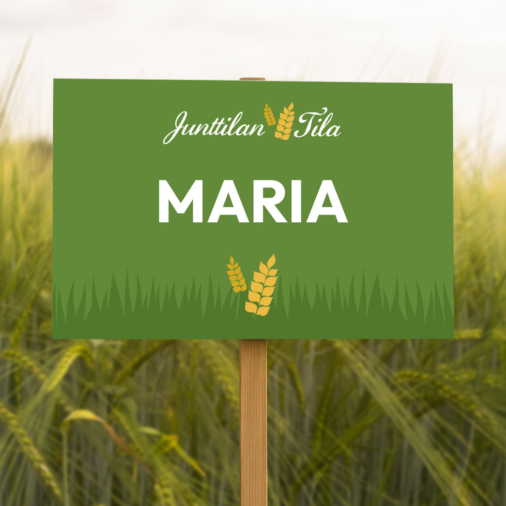 Junttilan Tila Maria ohra