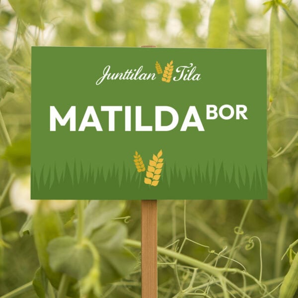 Junttilan Tila Matilda herne