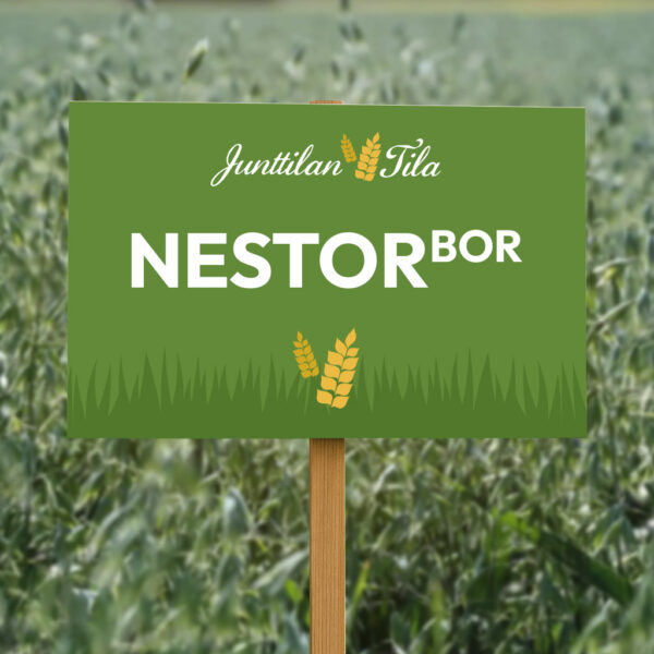 Junttilan Tila Nestor kaura