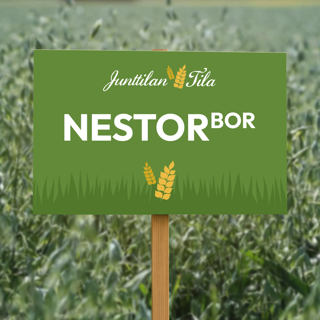 Junttilan Tila Nestor kaura