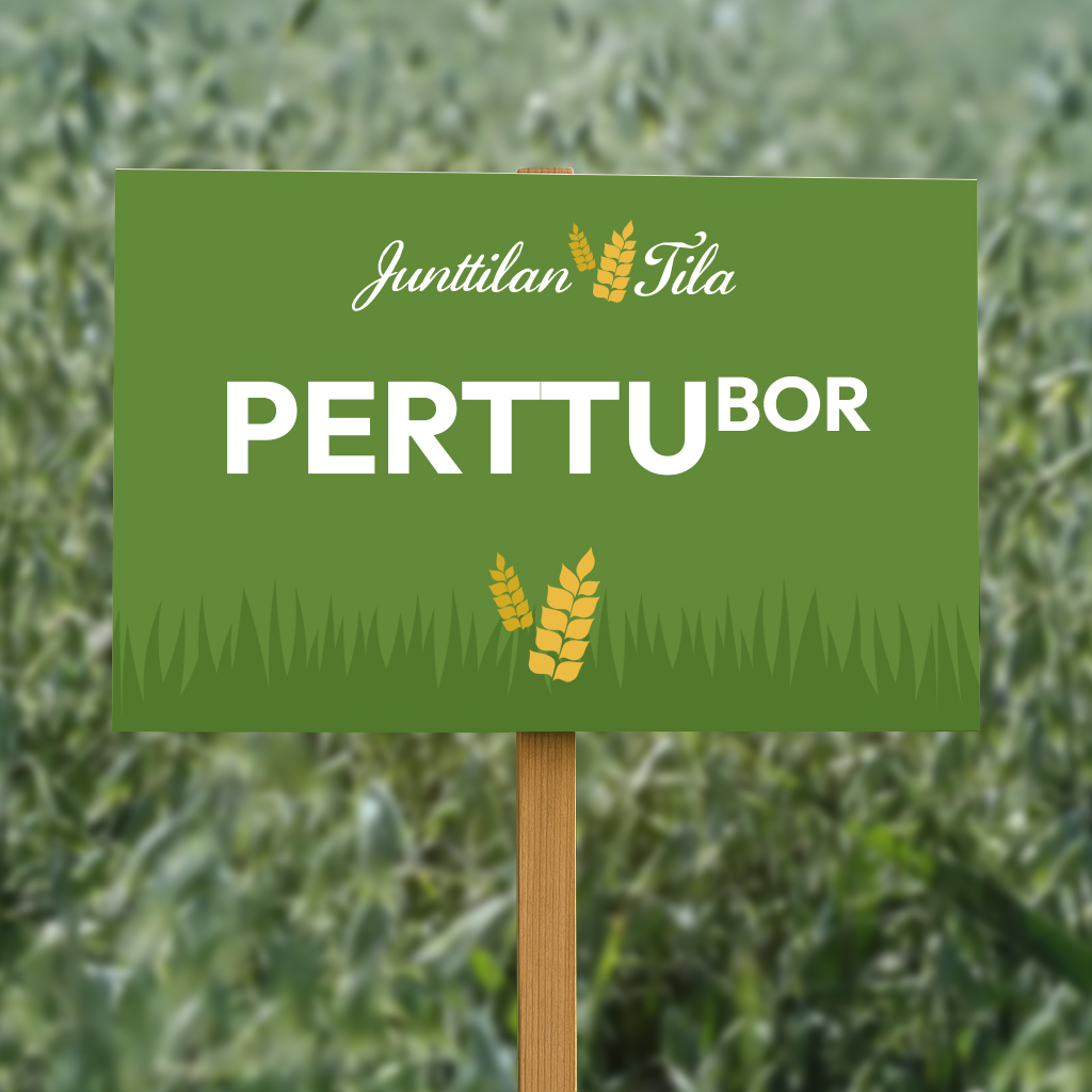 PerttuBOR Kaura on aikaisten lajikkeiden satokärkeä