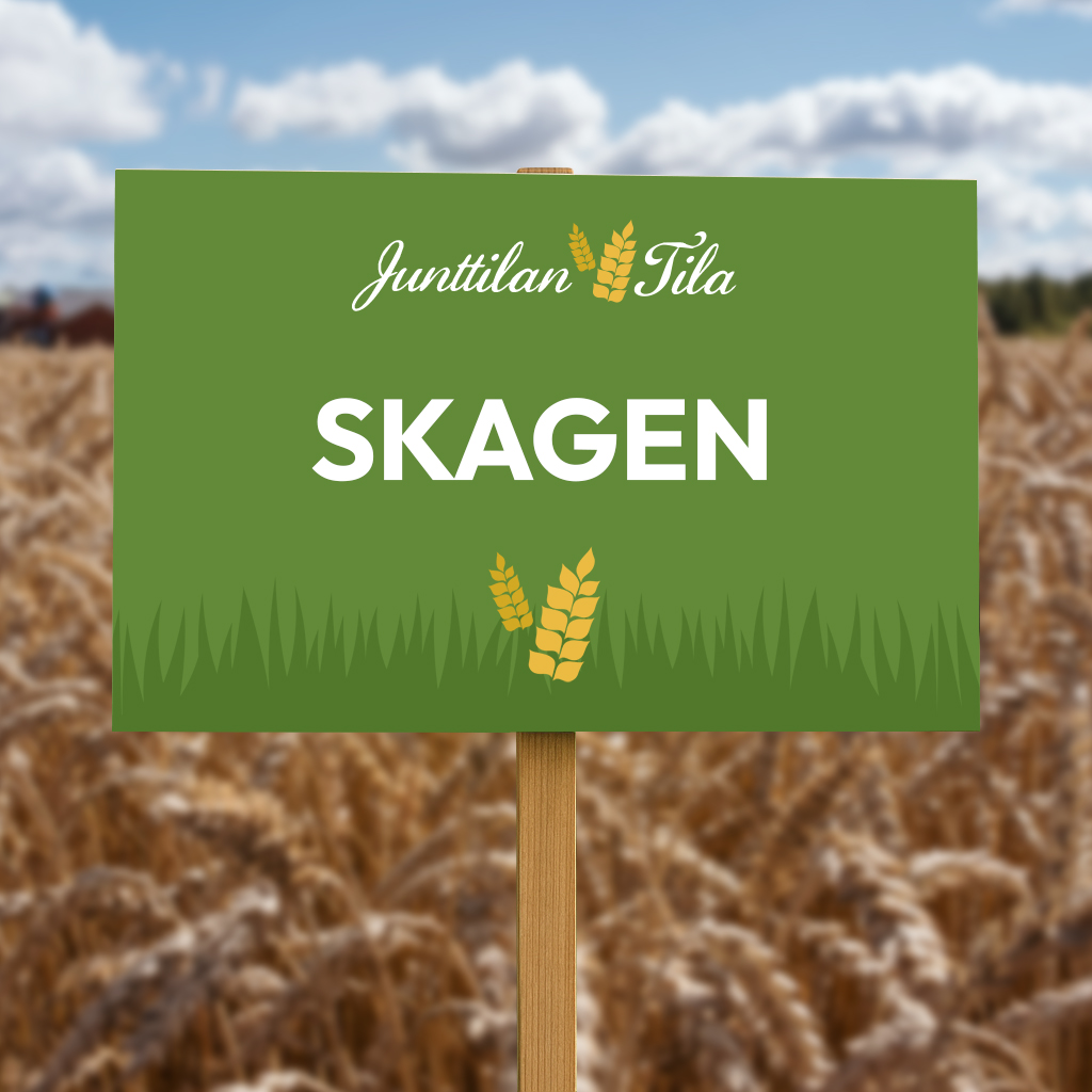 Skagen syysvehnä siemenet Junttilan Tilan