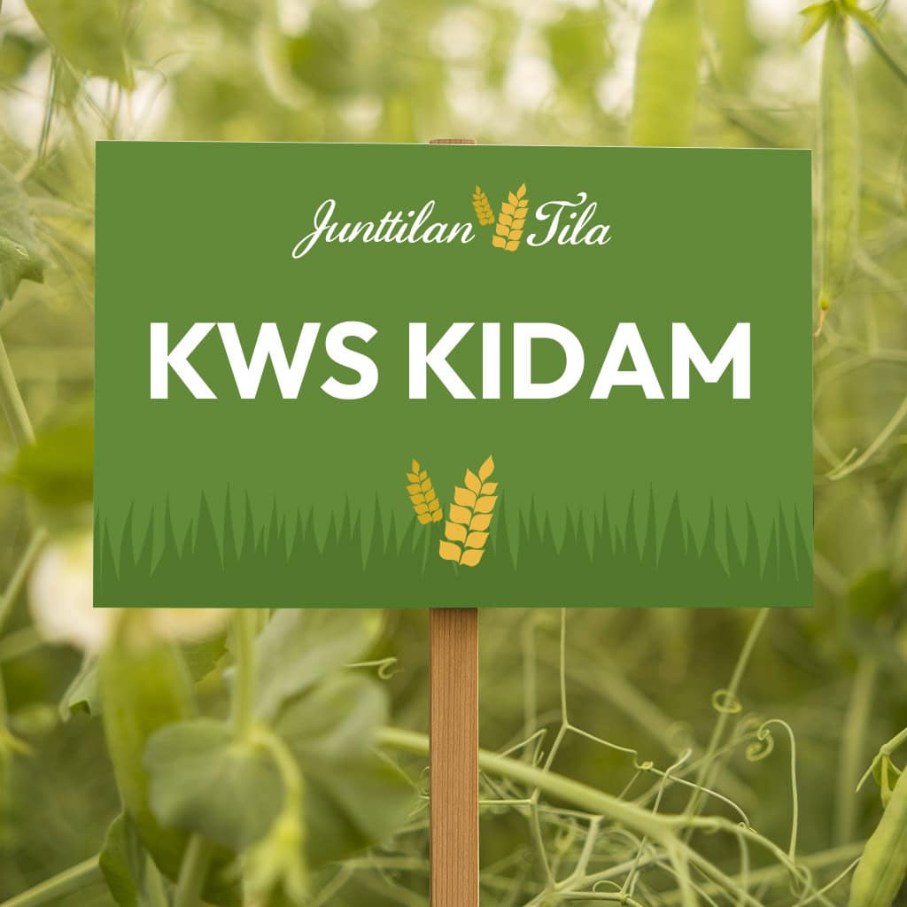 Junttilan Tila KWS Kidam herne