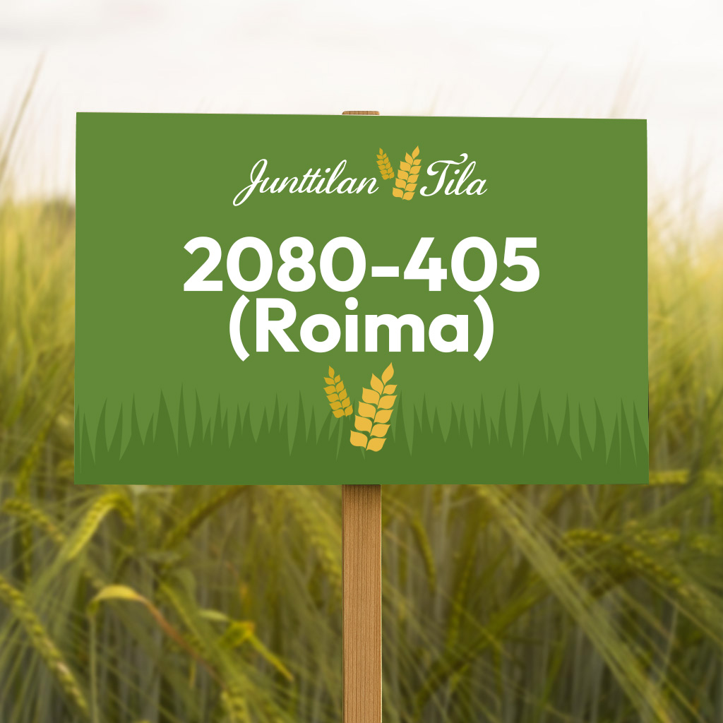 2080-405 (Roima) on erittäin satoisa uusi monitahoinen ohra keskimääräisellä kasvuajalla!