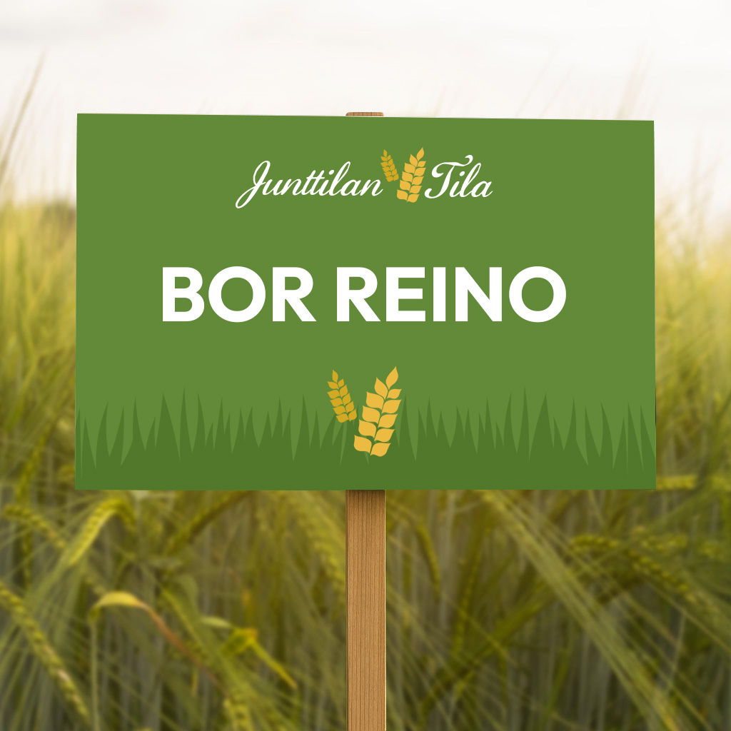 BOR Reino on monitahoisten ohrien uusi satokuningas!