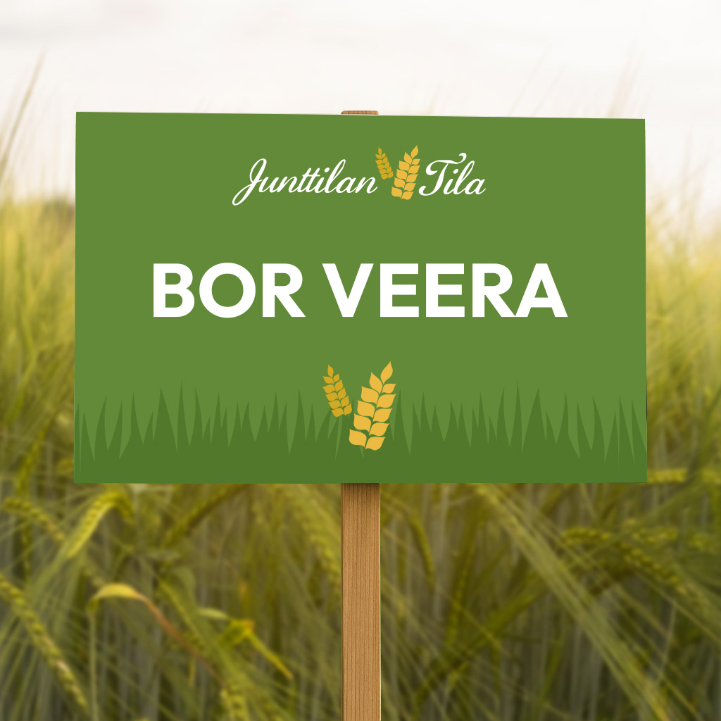 BOR Veera on aikaisten kaksitahoisten ohrien viljelyvarma uutuus!