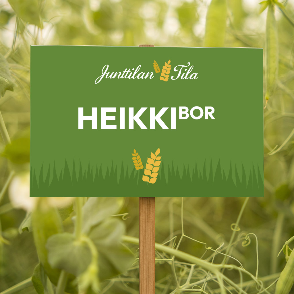 HeikkiBOR on huippusatoisa aikainen rehuherne