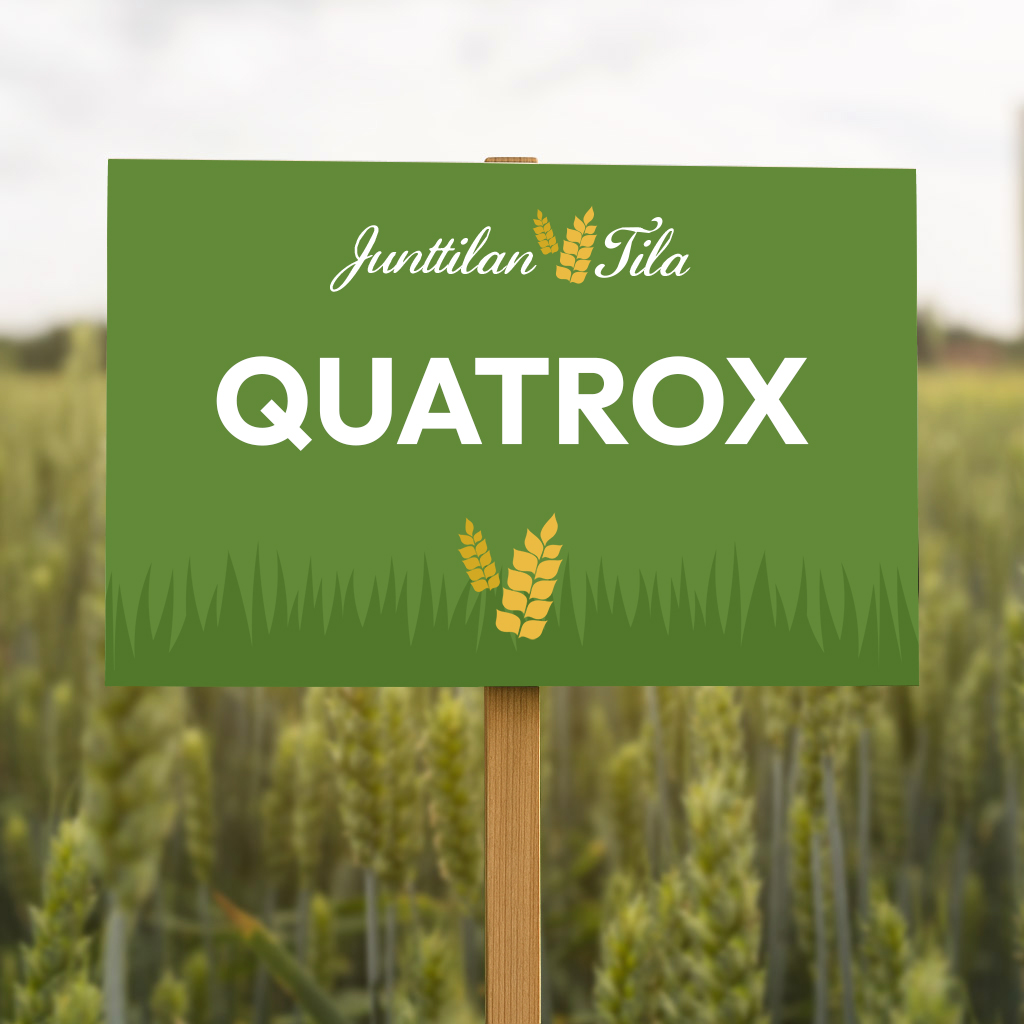 Junttilan Tila Quatrox aikaisehko laadukas myllyvehnä