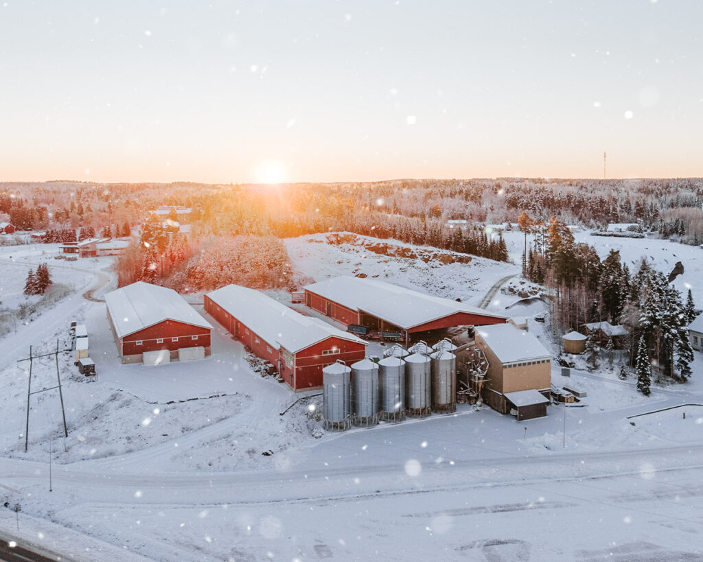 Junttilan Tila joulu