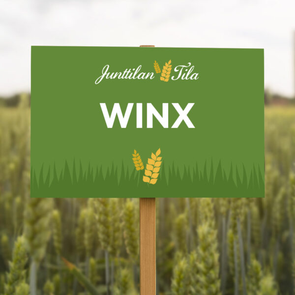 Junttilan Tila Winx kevätvehnä