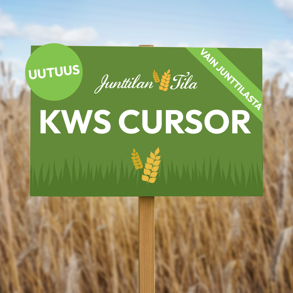 KWS Cursor hybridisyysruis Junttilan Tila