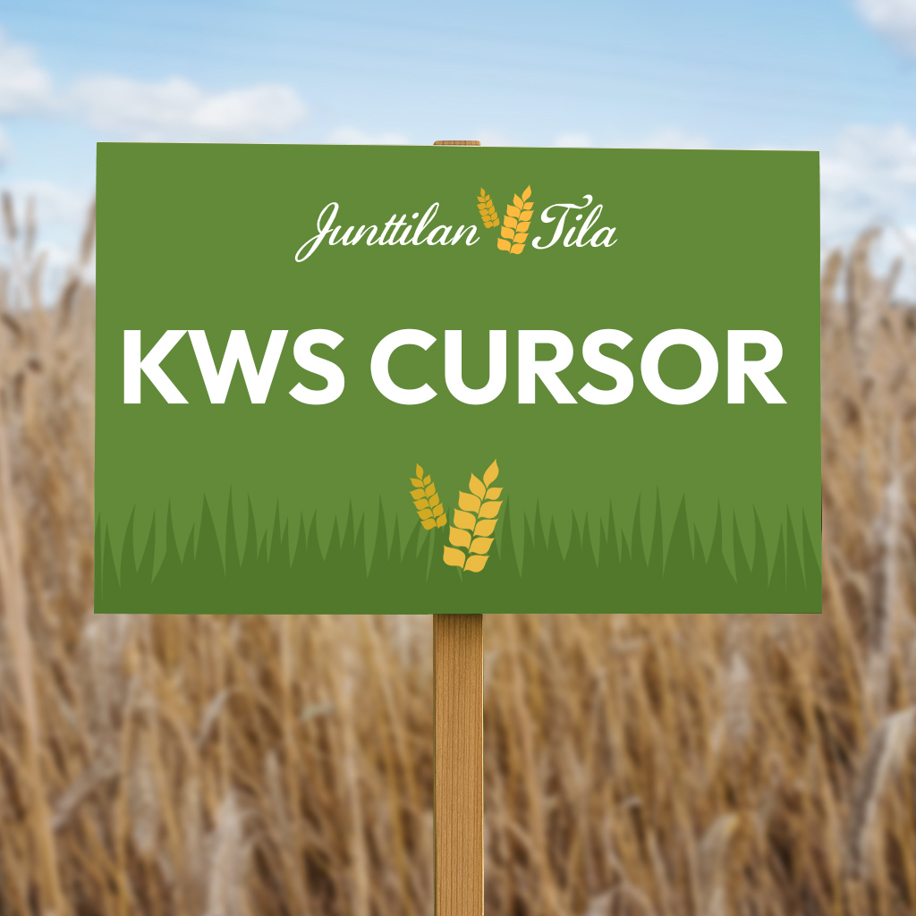 KWS Cursos Hybridisyysruis Junttilan Tila