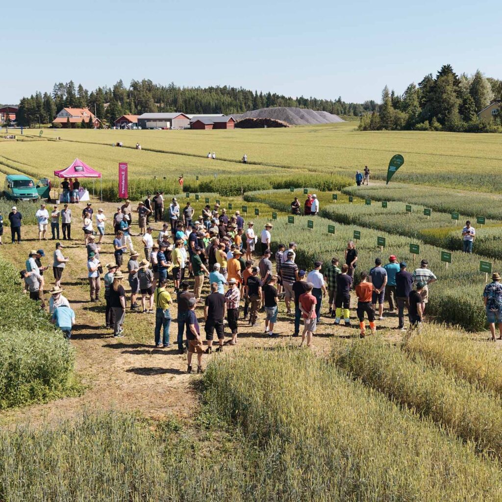 Junttilan Tilan Peltopäivät 2026
