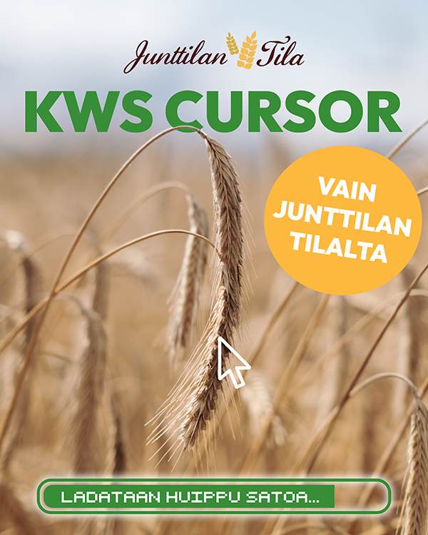 KWS Cursos hybridisyysruis vain Junttilan Tilalta