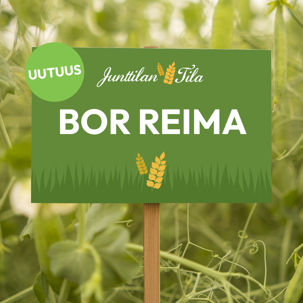 BOR Reima herne Junttilan Tila